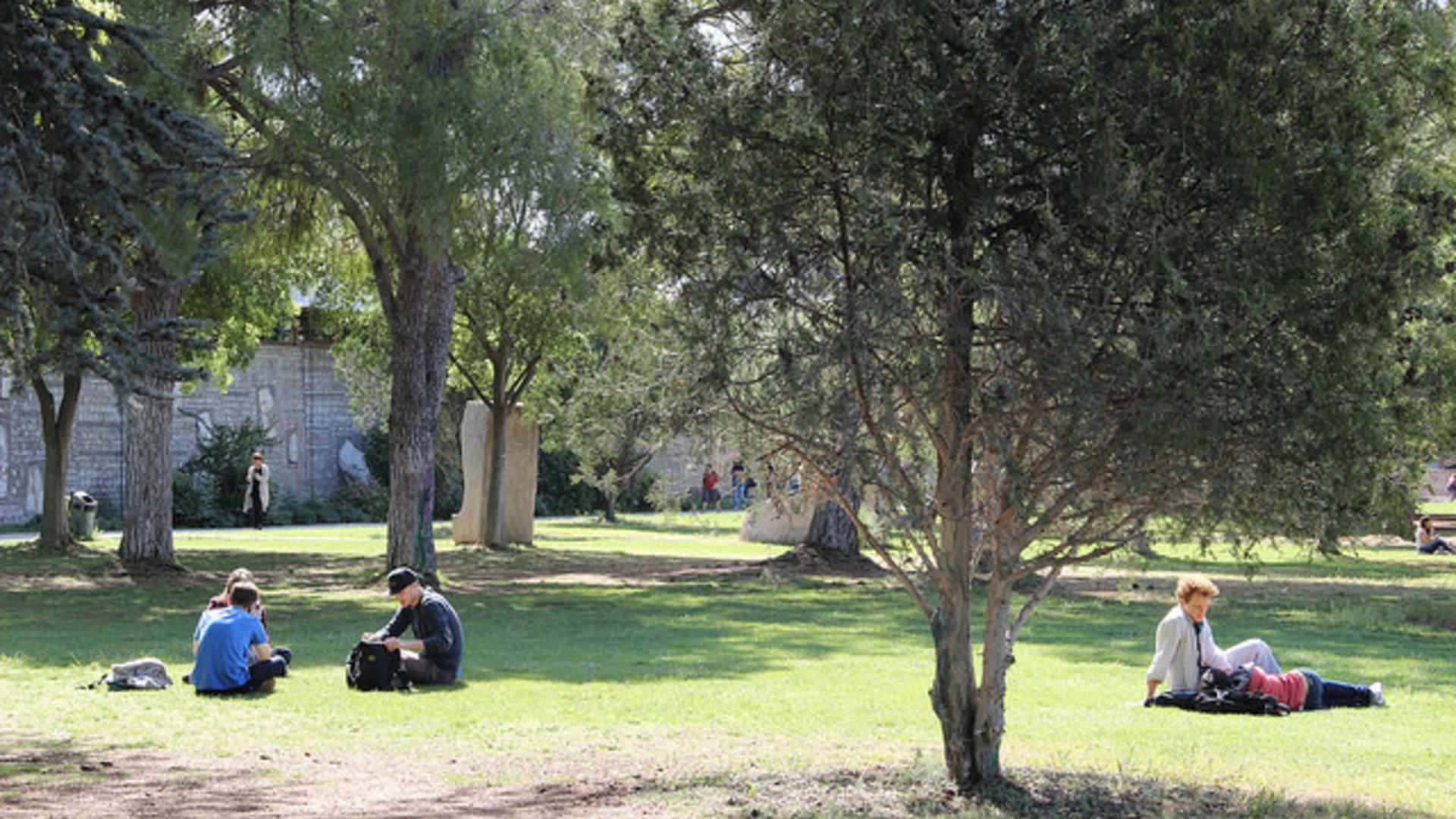 Université de Montpellier