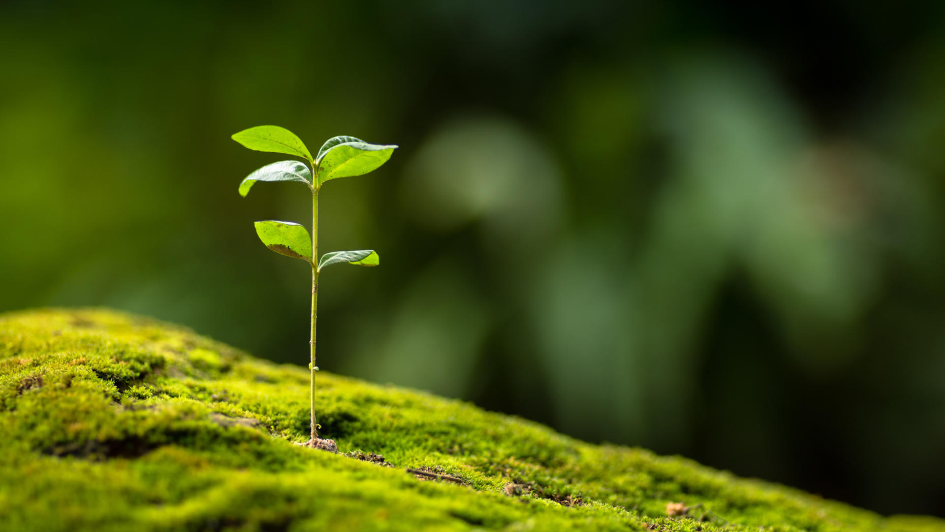 Chercheurs en France Recherche chercheur Researchers research MAKE OUR PLANET GREAT AGAIN