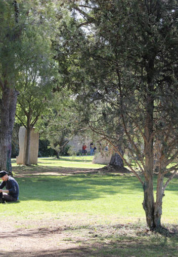 Université de Montpellier