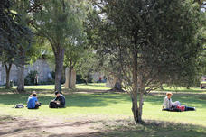 Université de Montpellier