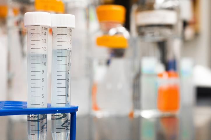 Chercheurs en France Recherche chercheur Researchers research